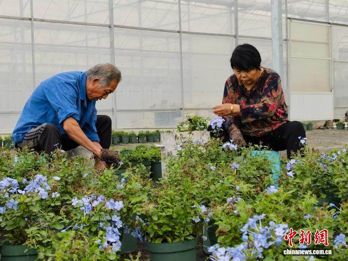 176905615857424293.jpg ad31f010-c3ef-4166-814d-40539c17560d_zsite.jpg